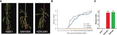 Comparative genomic analysis of Ralstonia solanacearum reveals candidate avirulence effectors in HA4-1 triggering wild potato immunity